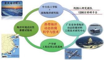 海洋纵深开发背景下热带海洋动态防腐技术的创新与发展——访广东省热带海洋动态防腐材料工程技术研究中心主任罗荘竹