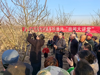 协同发展谱新篇 建好“菜园子” 丰盈“菜篮子” 衡水桃城区高品质果蔬产业蓬勃发展