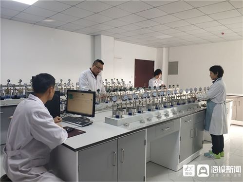 鲁南院实验测试中心土工试验项目取得新进展